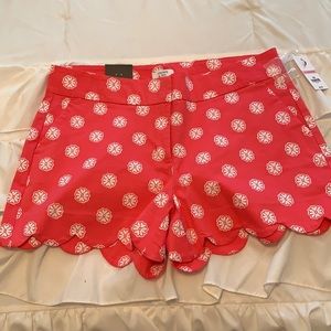 Crown and Ivy Scalloped shorts-size 10